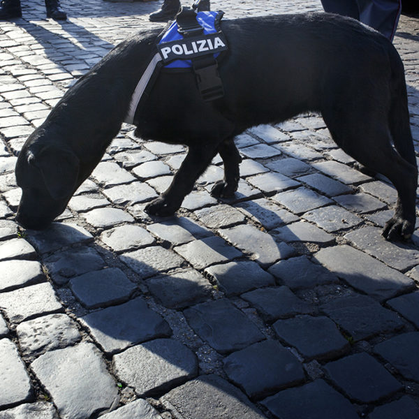 Operazione cinofila anti esplosivo.