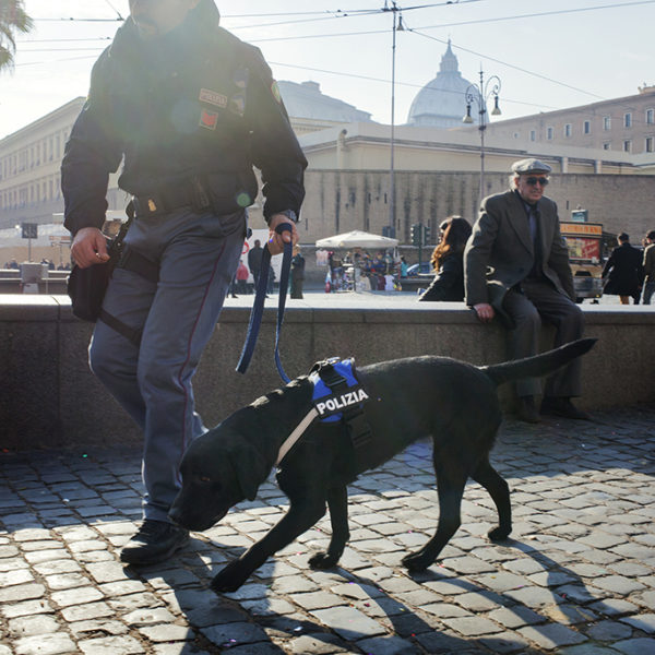 Operazione cinofila anti esplosivo.