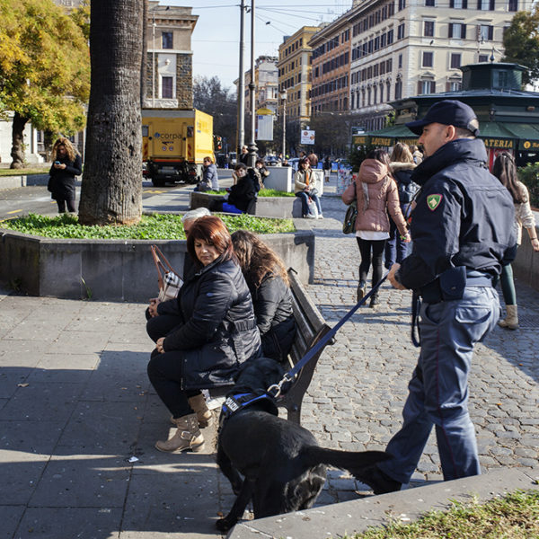 Operazione cinofila anti esplosivo.