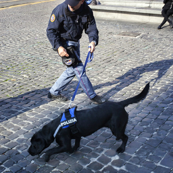 Operazione cinofila anti esplosivo.