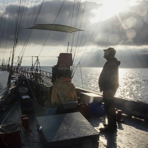 Fishing the swordfish to Stretto of Messina (Sicily) with Arena family on Simone boat.
Story about passing the fishing tradition by father to son.
Fight between human and animal, men against fish.