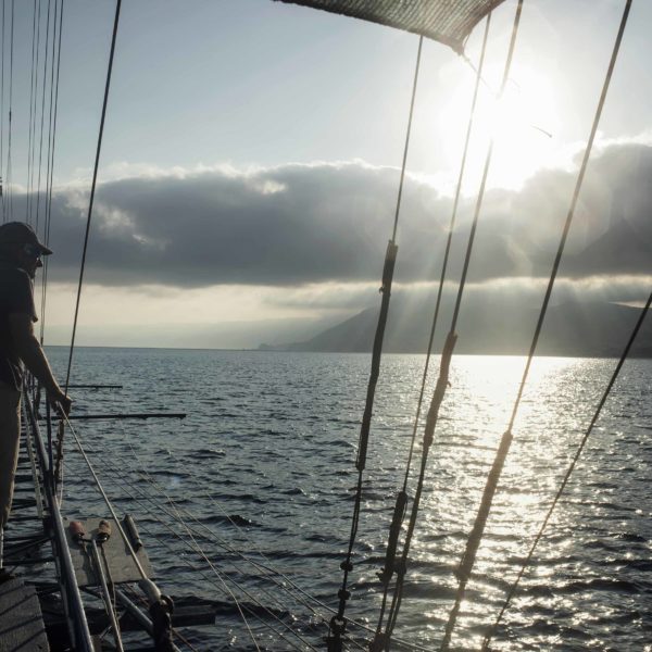 Fishing the swordfish to Stretto of Messina (Sicily) with Arena family on Simone boat.
Story about passing the fishing tradition by father to son.
Fight between human and animal, men against fish.