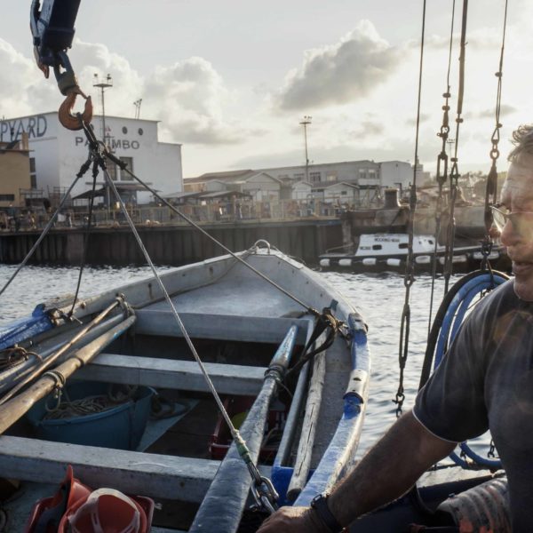Fishing the swordfish to Stretto of Messina (Sicily) with Arena family on Simone boat.
Story about passing the fishing tradition by father to son.
Fight between human and animal, men against fish.