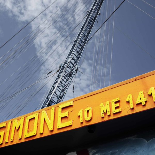 Fishing the swordfish to Stretto of Messina (Sicily) with Arena family on Simone boat.
Story about passing the fishing tradition by father to son.
Fight between human and animal, men against fish.
