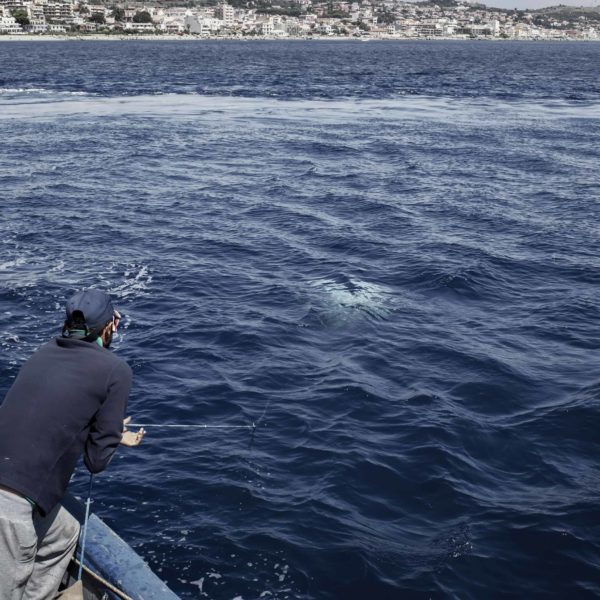 Fishing the swordfish to Stretto of Messina (Sicily) with Arena family on Simone boat.
Story about passing the fishing tradition by father to son.
Fight between human and animal, men against fish.