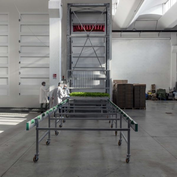 Melzo, Milan.

Team members of Agricola Moderna take off from the vertical farm and check the difference lettuces.