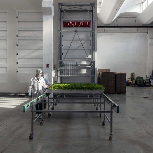 Melzo, Milan.

Team members of Agricola Moderna take off from the vertical farm and check the difference lettuces.