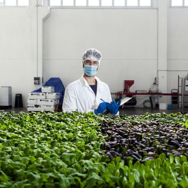 Melzo, Milan.Alessandro Pistillo, Agronomist - Production (Responsible for the production and all related activities, with the goal of improving and making efficient all the production phases in order to guarantee a quality product.)