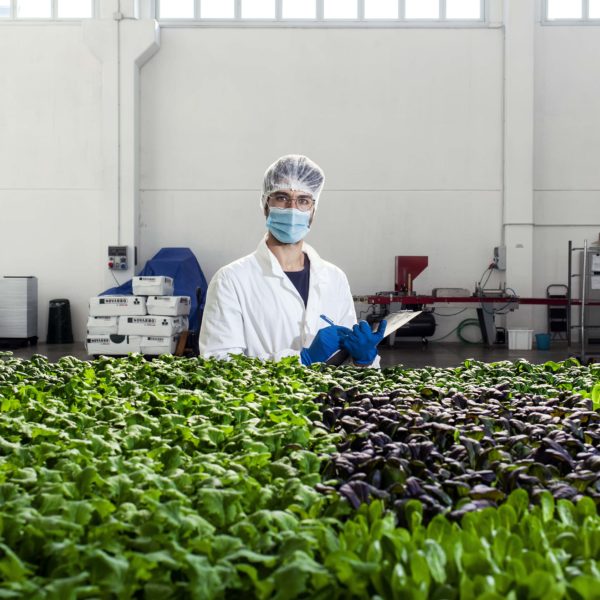Melzo, Milan.

Alessandro Pistillo, Agronomist - Production (Responsible for the production and all related activities, with the goal of improving and making efficient all the production phases in order to guarantee a quality product.)