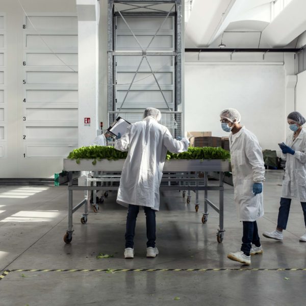 Melzo, Milan.

Team members of Agricola Moderna take off from the vertical farm and check the difference lettuces.