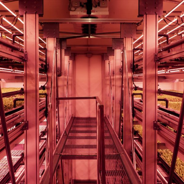 Melzo, Milan.

Inside the Vertical Farm at Agricola Moderna.