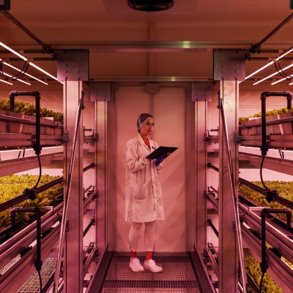 Melzo, Milan.

Dafni Kontarini, Agronomist - R&D (Responsible for the development of research proposals and application through experimental procedures prior to production, with the goal of exploring the potential of new varieties and optimizing the growing conditions.)
