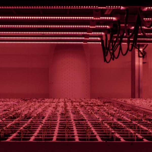 Melzo, Milan.

Inside the Vertical Farm at Agricola Moderna.