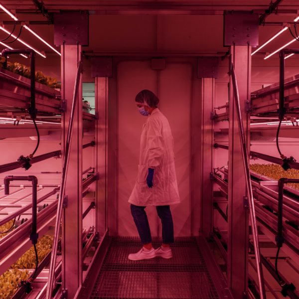 Melzo, Milan.

Dafni Kontarini, Agronomist (Responsible for the development of research proposals and application through experimental procedures prior to production, with the goal of exploring the potential of new varieties and optimizing the growing conditions) inside the vertical farm at Agricola Moderna.
