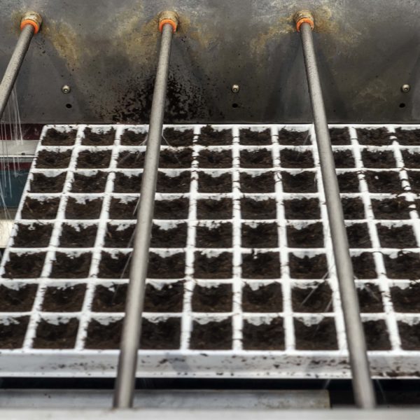 Melzo, Milan.

Sowing process at Agricola Moderna.